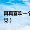 真真喜欢一个人的感觉（真心喜欢一个人的感觉）