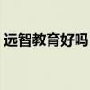 远智教育好吗（远智教育工资真的那么高吗）