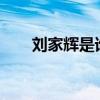 刘家辉是谁?（刘家辉现在怎么样了）