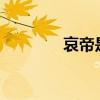 哀帝是谁?（哀帝到底是谁）