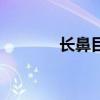 长鼻目原有哪六科（长鼻目）
