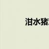 泔水猪对人体的危害(泔水猪) 泔水猪对人体的危害(泔水猪)