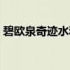 碧欧泉奇迹水和精华露区别（碧欧泉奇迹水）