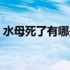 水母死了有哪些表现（水母死了的样子图片）