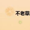 不老草的功效与作用（不老草）