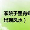 家院子里有蛇出现风水怎么办（家院子里有蛇出现风水）