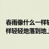 春雨像什么一样轻轻地落到地上二年级下册（春雨像什么一样轻轻地落到地上）