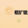 粗犷雄浑的意思（雄浑的意思）