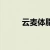 云麦体脂秤怎么样（云麦体脂秤）