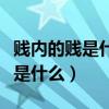 贱内的贱是什么意思是什么（贱内是什么意思是什么）
