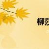 柳莎是什么意思（柳莎）