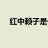 红中赖子是什么意思（赖子是什么意思）