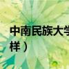 中南民族大学怎么样211（中南民族大学怎么样）