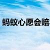 蚂蚁心愿会赔本金吗（蚂蚁心愿会亏本金吗）