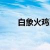 白象火鸡面好吃吗（火鸡面好吃吗）