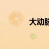 大动脉在哪里（大动脉在哪）