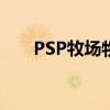 PSP牧场物语矿石镇（psp牧场物语）
