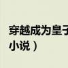 穿越成为皇子皇孙的小说（穿越成皇子婴儿的小说）