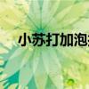 小苏打加泡打粉的作用（泡打粉的作用）
