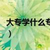 大专学什么专业最挣钱（大专学什么专业吃香）
