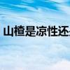 山楂是凉性还是热性（山楂是酸性还是碱性）