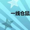 一线仓鼠图片高清（一线仓鼠图片）