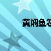 黄焖鱼怎么做好吃视频（黄焖鱼）