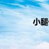 小腿假肢价格（小腿假肢）