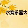 吹奏乐器大全图片名称（吹奏乐器大全）