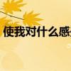 使我对什么感兴趣英语（对什么感兴趣英语）