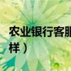 农业银行客服工作怎么样（银行客服工作怎么样）
