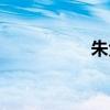 朱大同争议（朱大同）