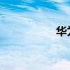华为4x手表（华为4x）