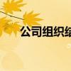 公司组织结构有哪些（公司组织结构）