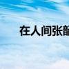 在人间张韶涵在线听（在人间张韶涵）