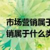市场营销属于什么类别的专业公务员（市场营销属于什么类）
