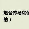 烟台养马岛值得去吗（烟台养马岛有什么好玩的）