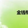 金钱榕放客厅大忌（金钱榕）