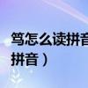 笃怎么读拼音怎么写的啊怎么组词（笃怎么读拼音）