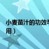 小麦苗汁的功效与作用是用什么做的（小麦苗汁的功效与作用）