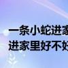 一条小蛇进家里好不好死了好不好（一条小蛇进家里好不好）