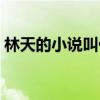 林天的小说叫什么林耀（林天的小说叫什么）