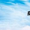身笔画数（身笔画）
