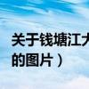关于钱塘江大潮的相关资料（关于钱塘江大潮的图片）