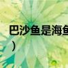 巴沙鱼是海鱼吗还是淡水鱼（巴沙鱼是海鱼吗）