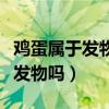 鸡蛋属于发物吗会导致发烧反复吗（鸡蛋属于发物吗）