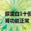 尿蛋白1十但肾功能正常 腰酸（尿蛋白1十但肾功能正常）