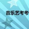 音乐艺考考什么乐器（音乐艺考考什么）