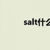 salt什么意思呢（salt什么意思）