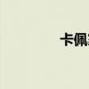 卡佩家族现状（卡佩家族）